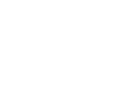 icons8-price-tag-2520